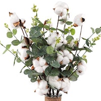 Cotton Heads with Eucalyptus Leaves