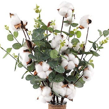 Cotton Heads with Eucalyptus Leaves