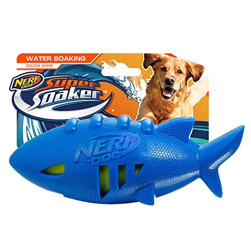 dog pool toys