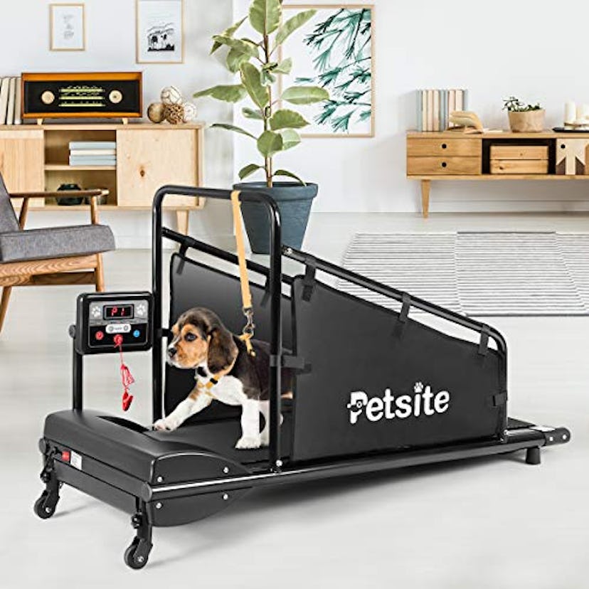 PETSITE Dog Treadmill