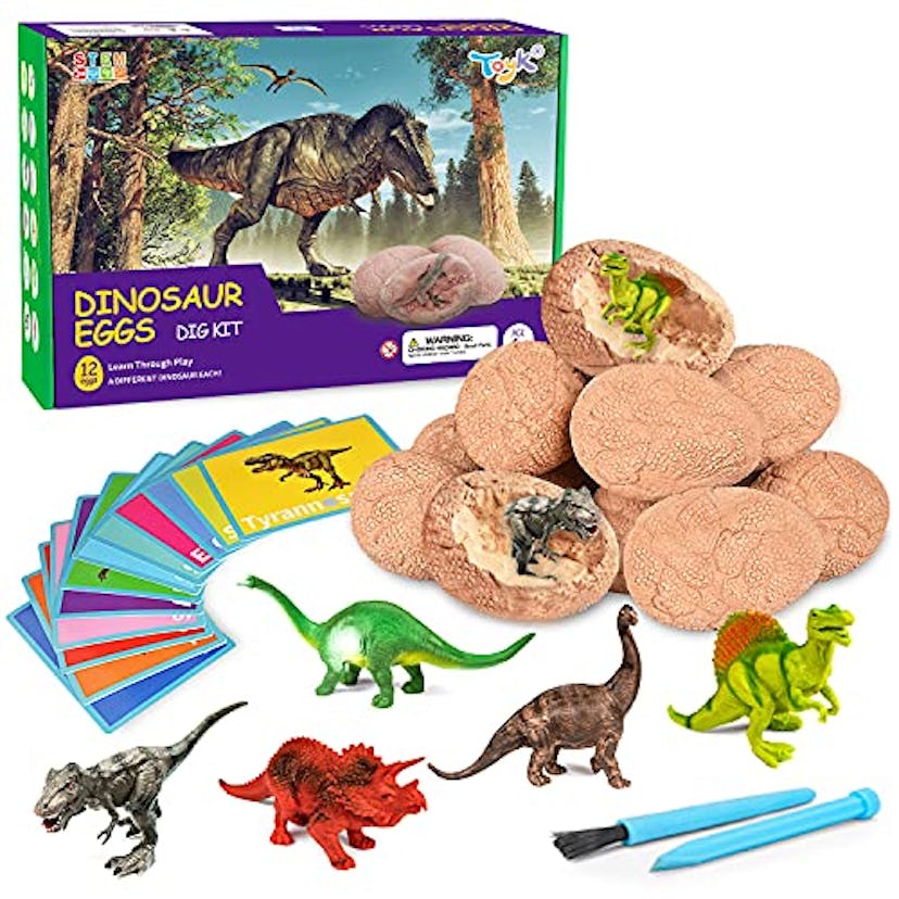 Dinosaur Egg Kit