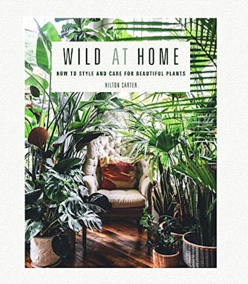 Wild at Home: How to Style and Care For Beautiful Plants