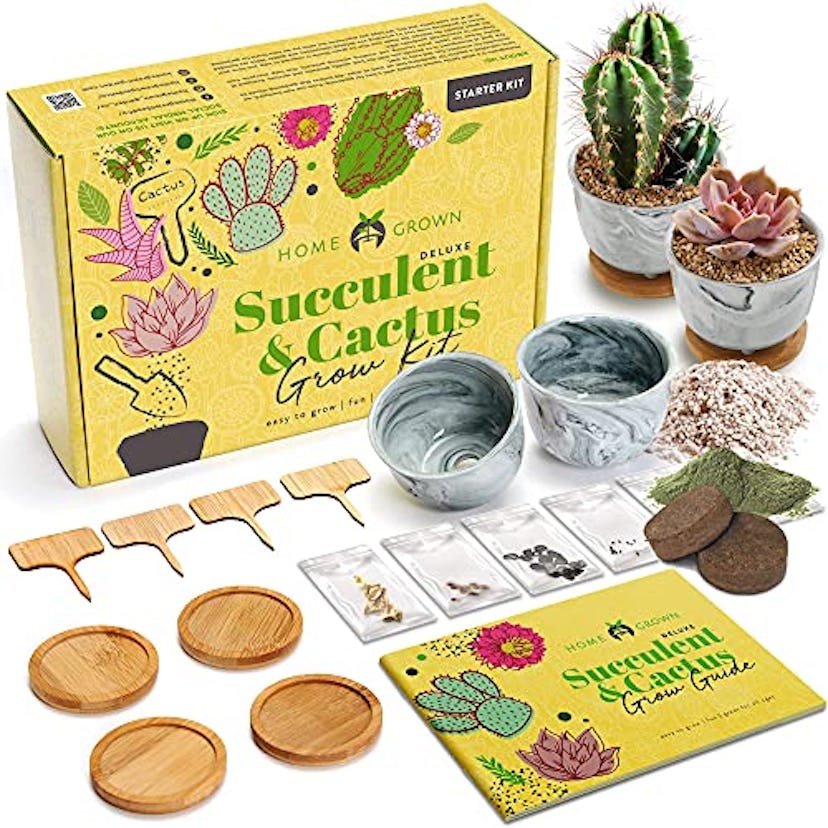Homegrown Deluxe Succulent & Cactus Grow Kit