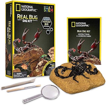 National Geographic Bug Dig Kit