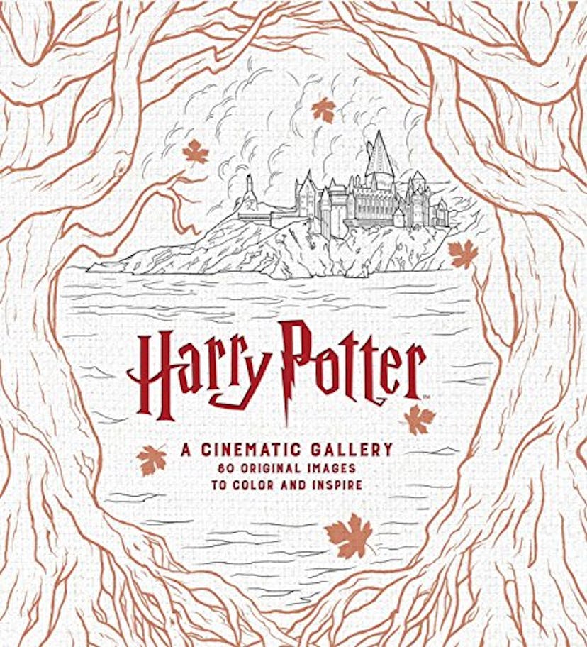 Harry Potter Coloring Book