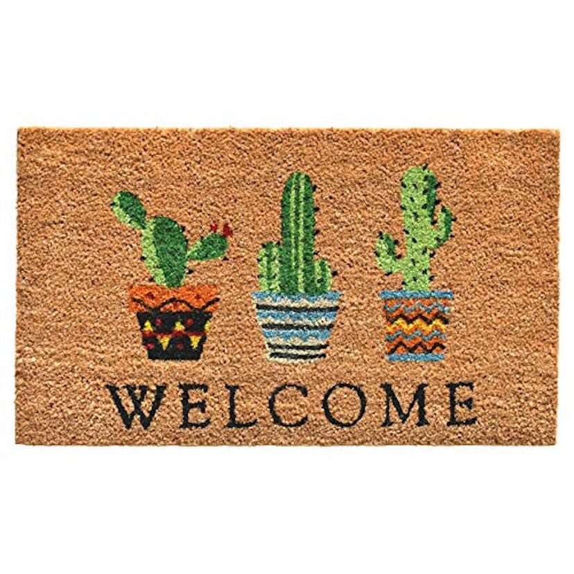 Welcome Cacti