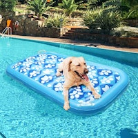 EXPAWLORER Inflatable Dog Pool Float