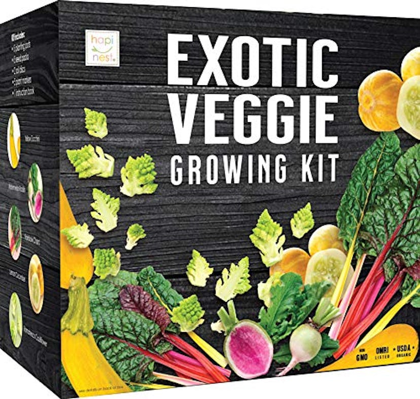 Hapinest Store Exotic Vegetable Indoor Garden Seed Starter Growing Kit