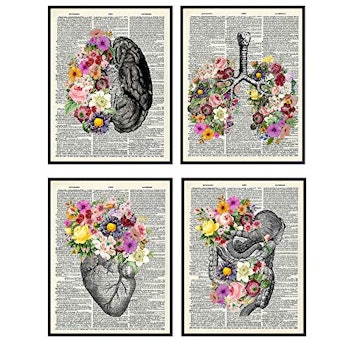 Organs and Flowers Dictionary Wall Art