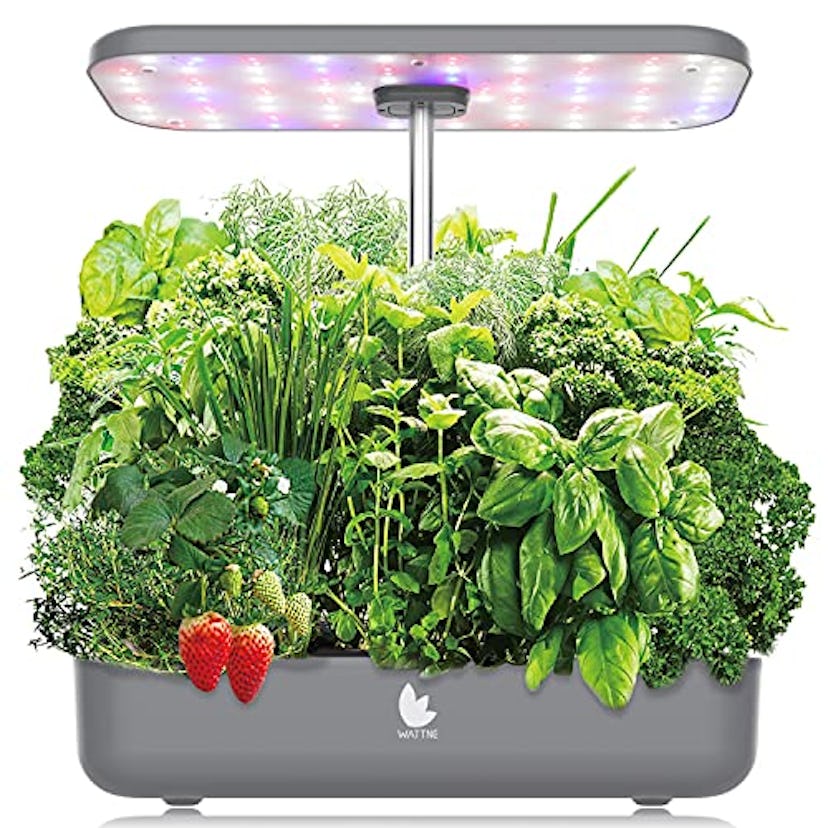 Wattne Hydroponic Growing System