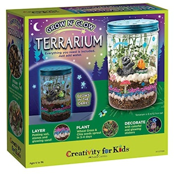 Creativity For Kids Grow 'N Glow Terrarium