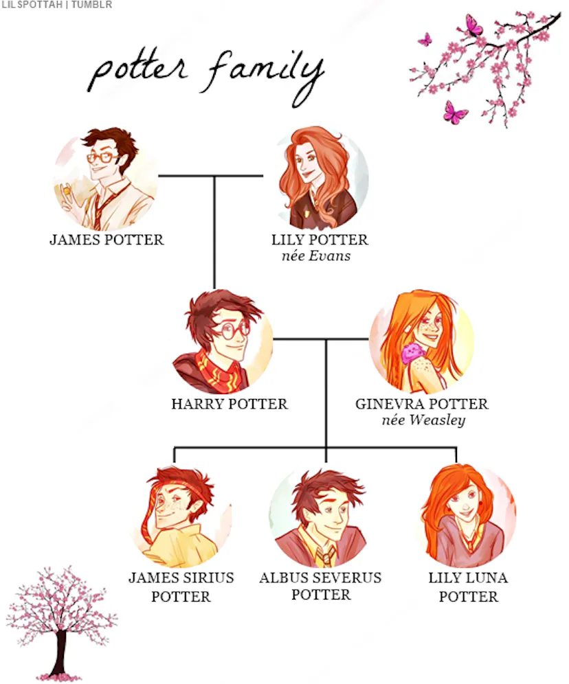 Potterer Harry Potter’s Family Tree (And How It Relates To His Friends)