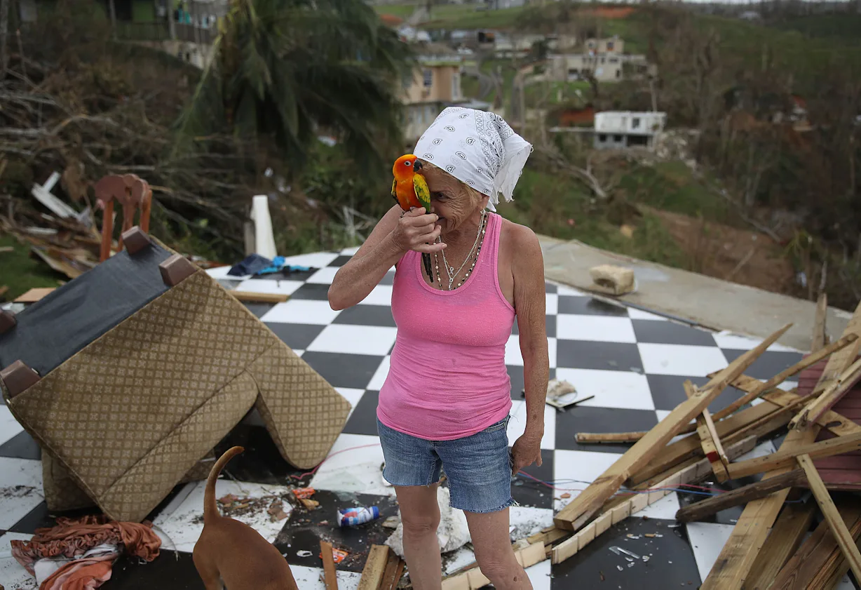 Puerto Rico Support Photos Of Puerto Rico After Hurricane Maria Show Its People Still ...