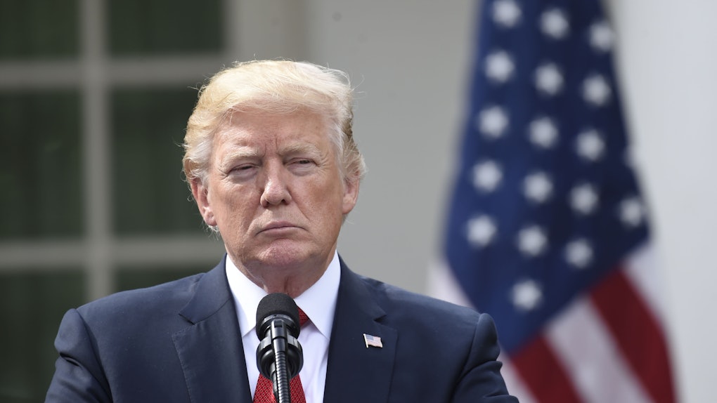 Tweets Roasting Donald Trump S Pumpkin Maga Hats Are Hilariously Savage