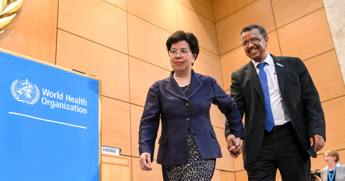 The World Health Organization s New Leadership Team Is Majority Women The World Health Organization s New Leadership Team Is Majority Women