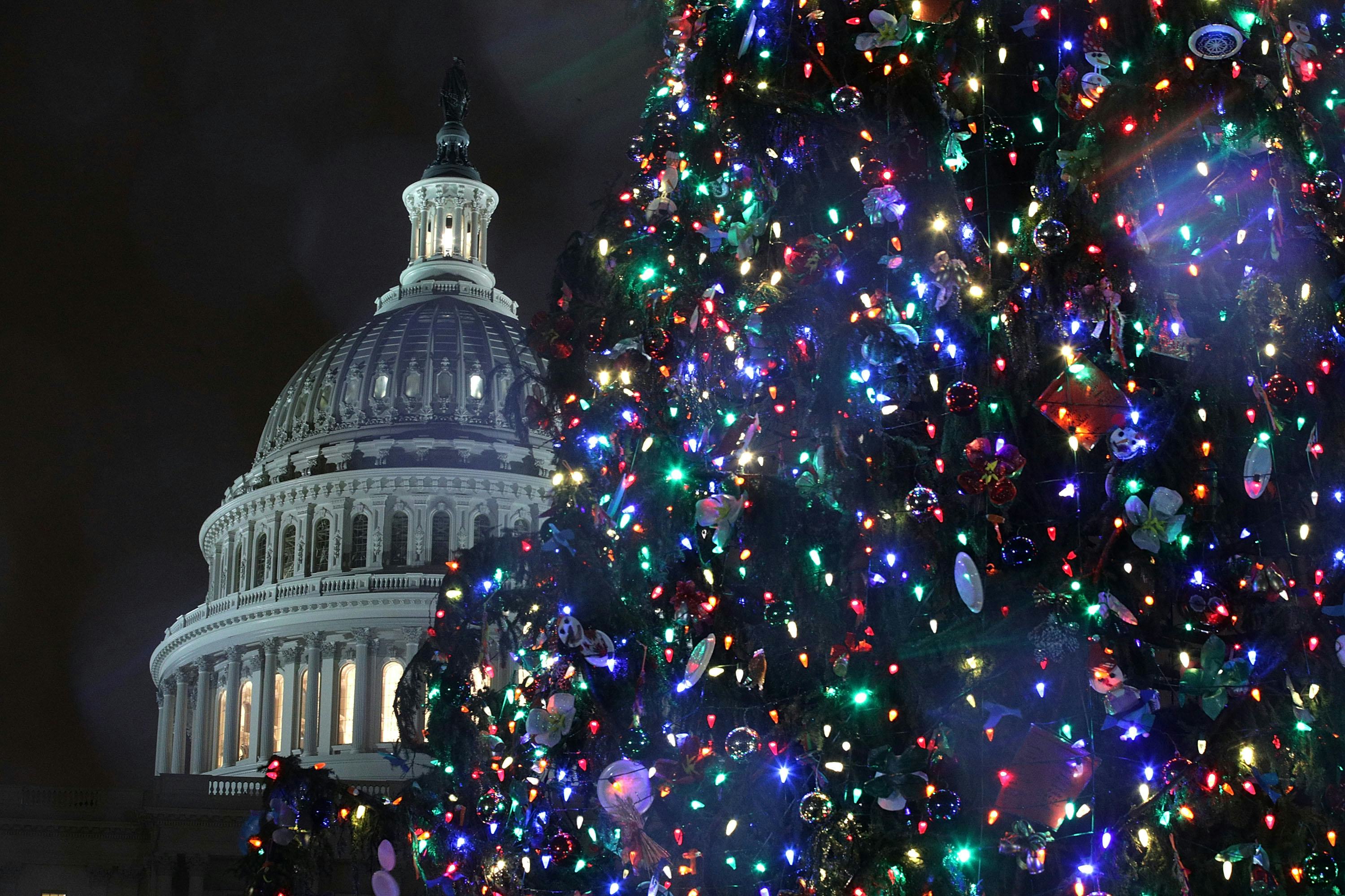 Donor helps after thieves take Christmas trees meant to benefit sick children