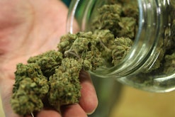 A man taking out Medical Marijuana from a glass jar