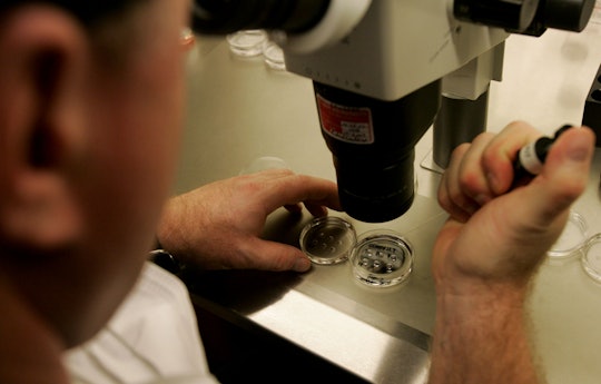 A scientist using lab equipment in order to research and improve the ivf process