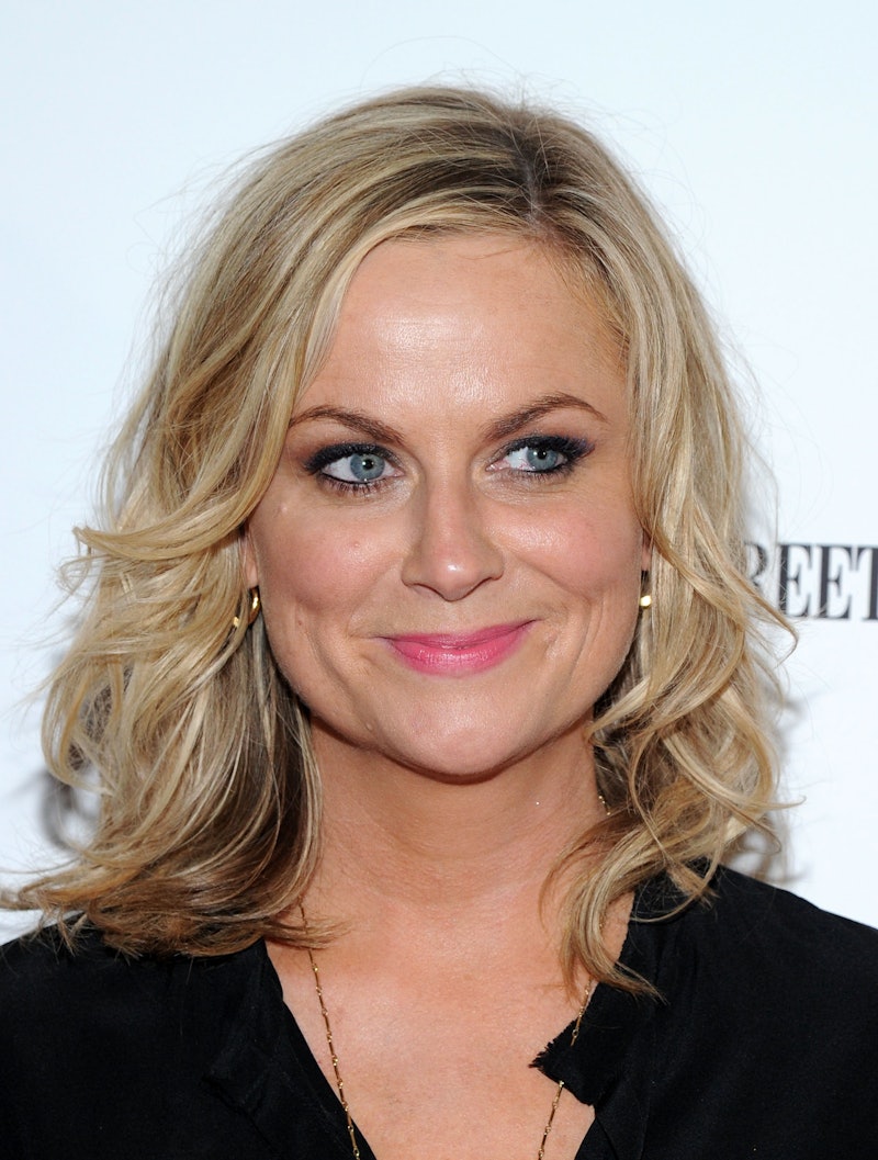 Amy Poehler Is Fighting For Your Right To Fail