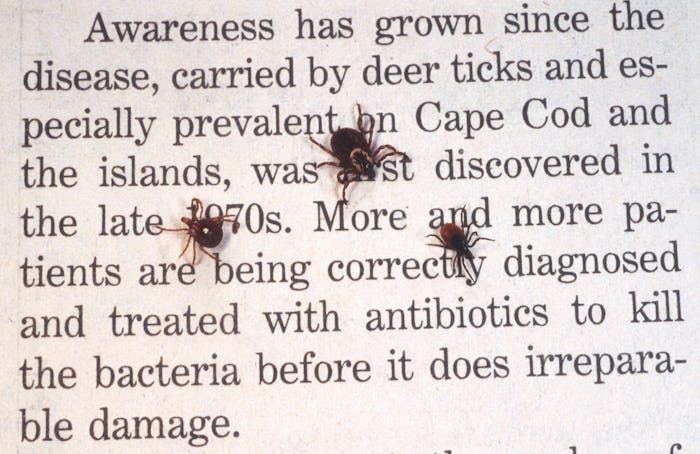 A text on Rocky Mountain Fever with ticks walking on it