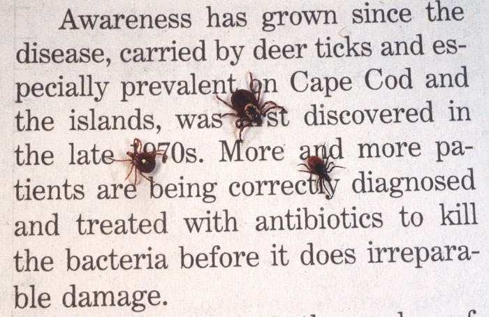 A text on Rocky Mountain Fever with ticks walking on it 