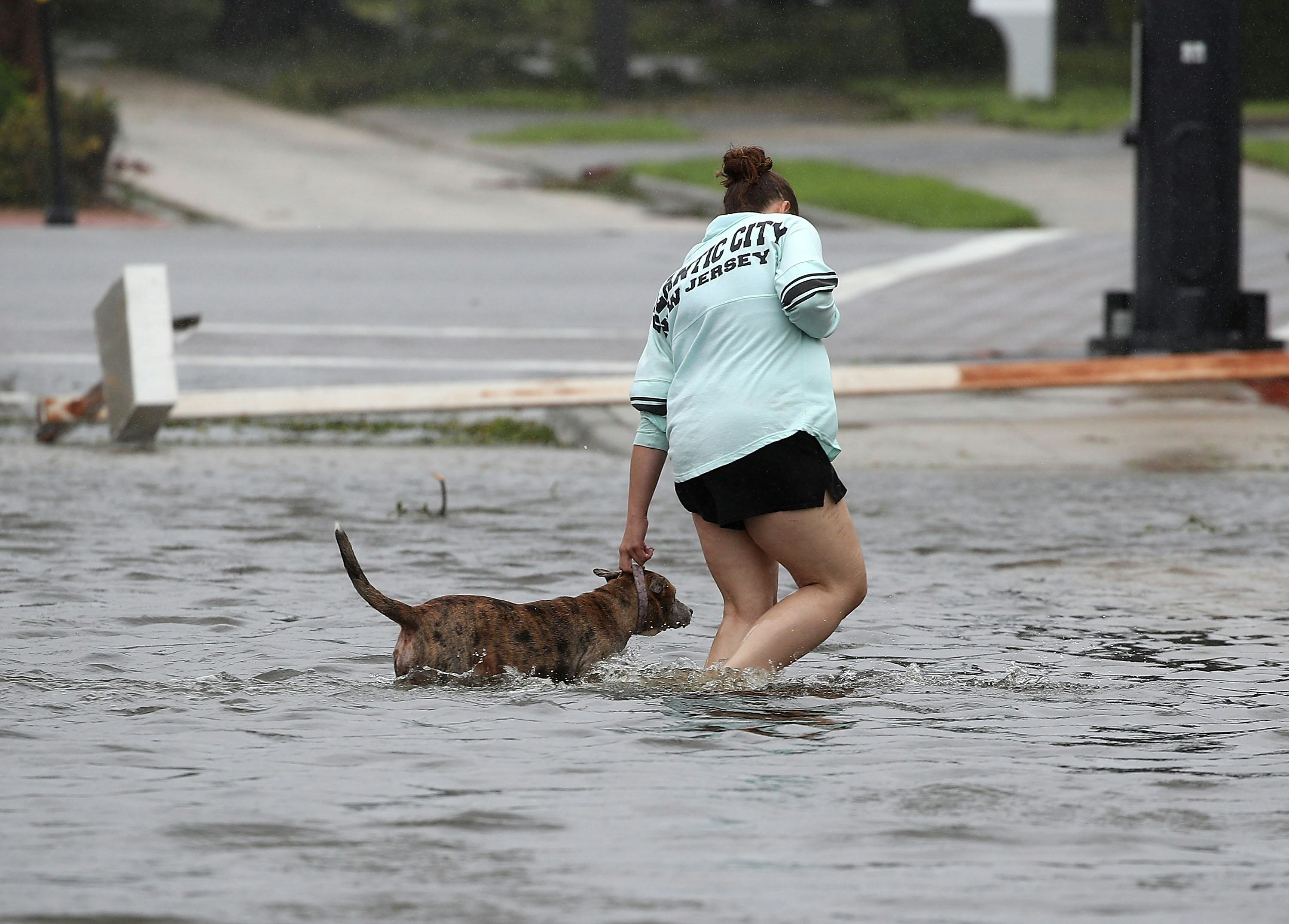 How To Support Animal Shelters During Hurricane Harvey