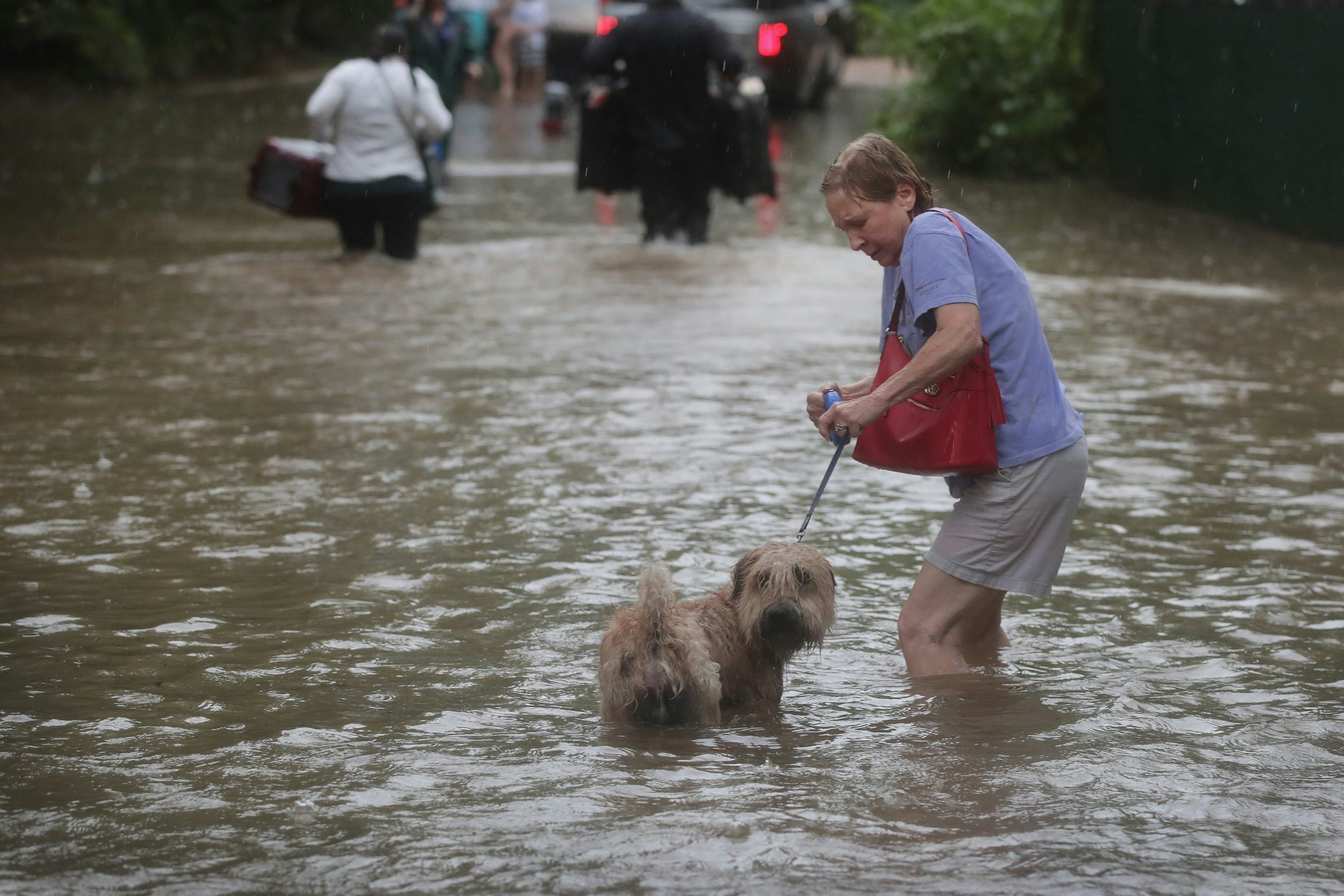 How To Help Hurricane Harvey Victims, Because It Is So Important