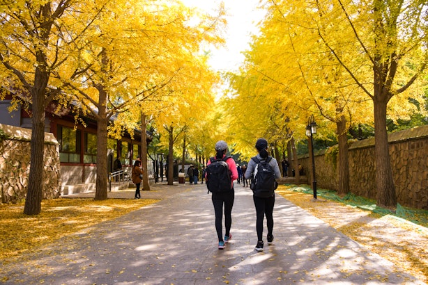 What Is Each State Known For For July 4th Each State S