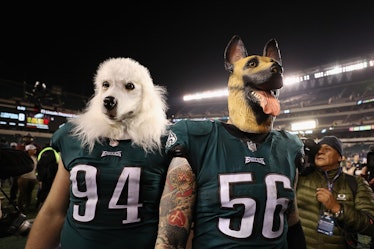 Eagles fans swarm Lincoln Financial Field in dog masks for NFC