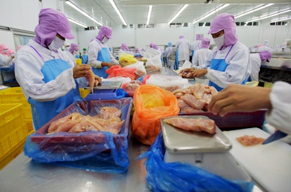 A Salmonella Outbreak From Raw Chicken Has Gotten 92 People Sick ...