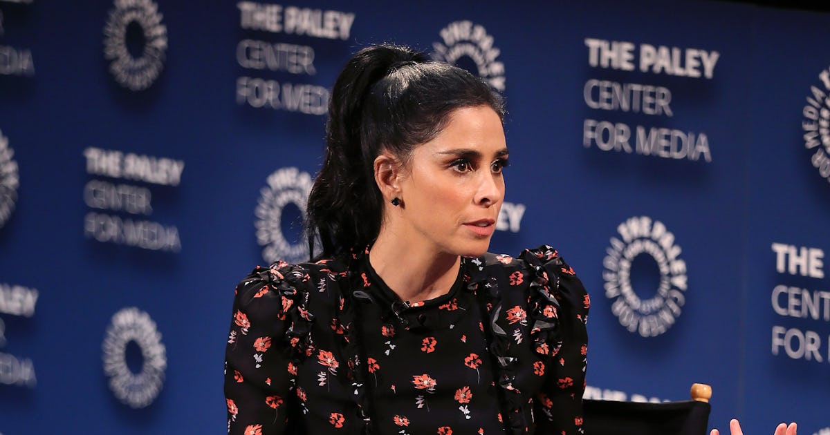 Sarah Silverman's Latest Louis C.K. Comments Prompted A Response From ...