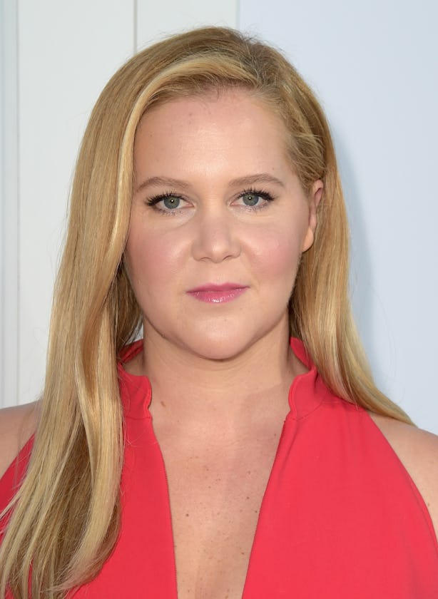 Amy Schumer Has Canceled Her Tour Dates Due To Her Recent