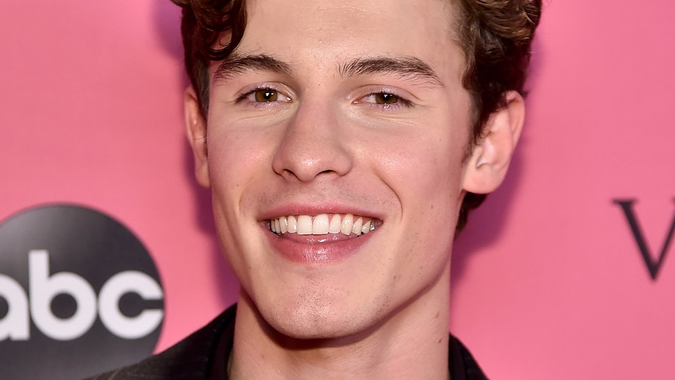 Shawn Mendes Opened Up About Hailey Baldwin What Really