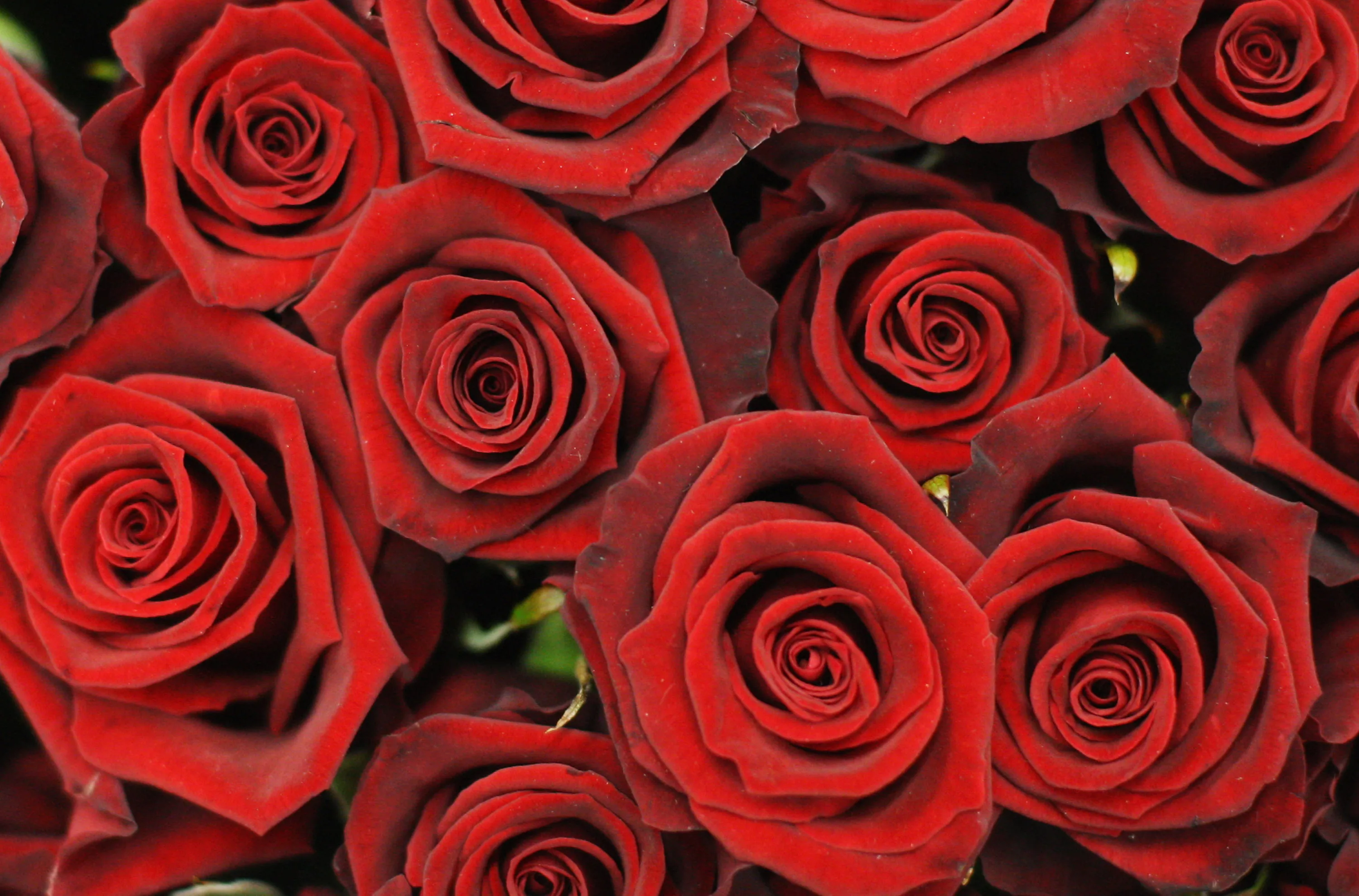 7 Trigger Words That Make People Fall In Love With You