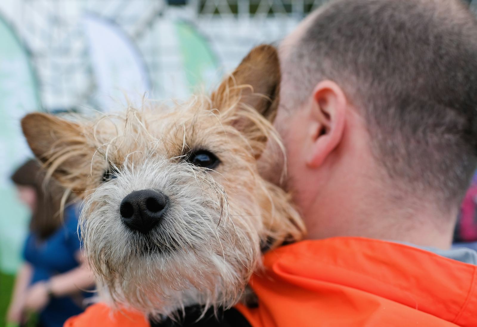 Are Weighted Blankets Safe For Dogs? Here’s What To Know Before Getting One