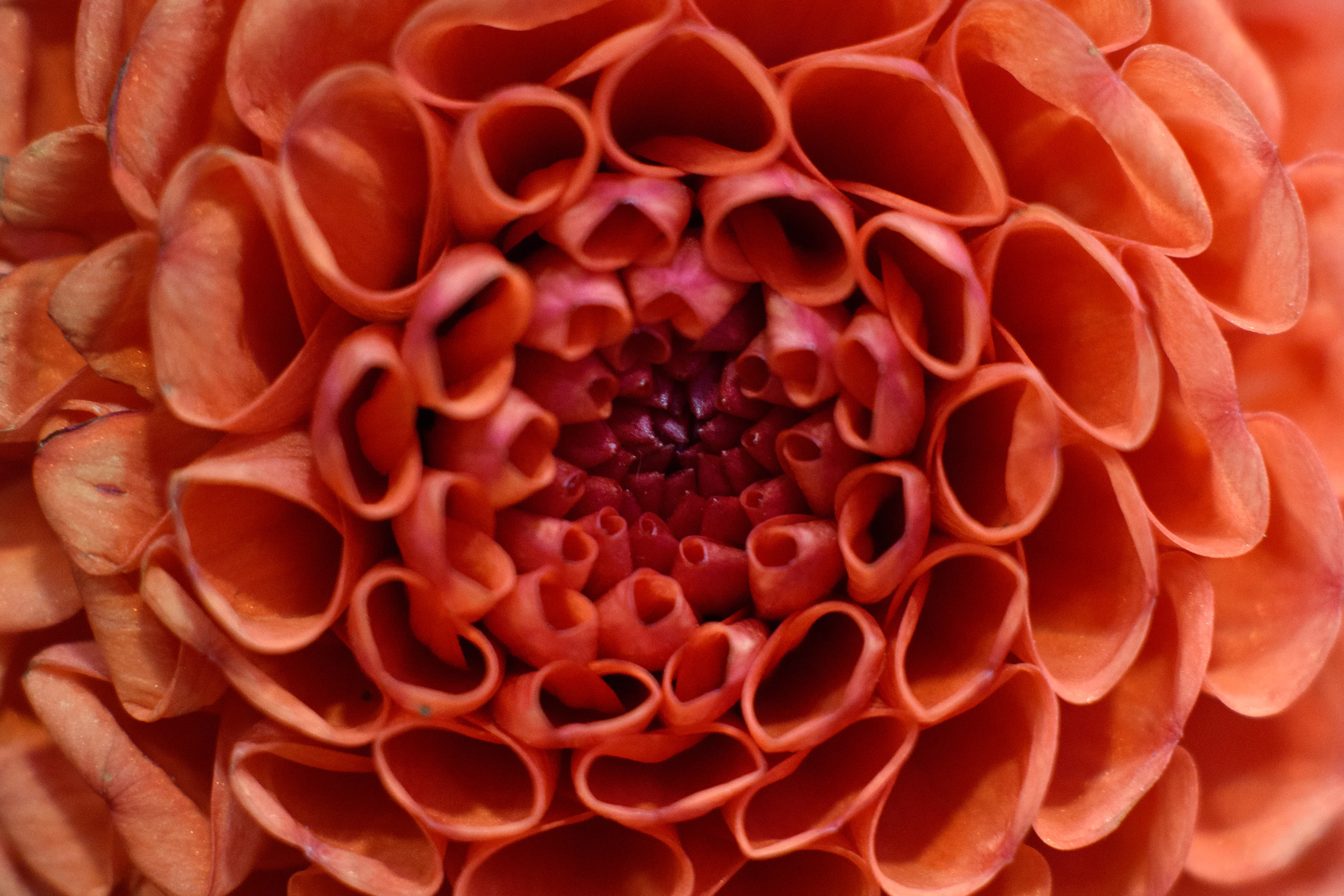 27 Floral Baby Names That Are Due To Make A Comeback