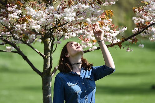A woman smells flowers under a tree. Reverse seasonal affective disorder is a kind of seasonal depre...