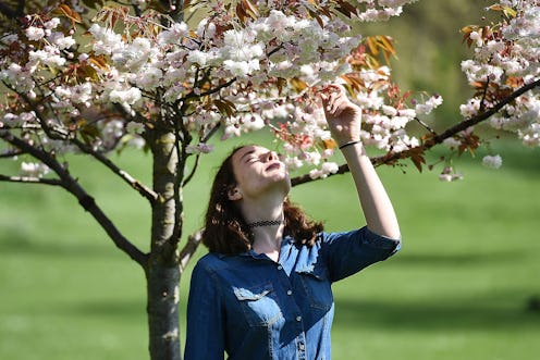 A woman smells flowers under a tree. Reverse seasonal affective disorder is a kind of seasonal depre...