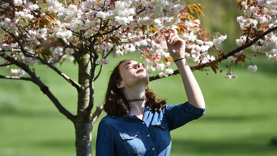 What Is Reverse Seasonal Affective Disorder? Seasonal Depression During ...