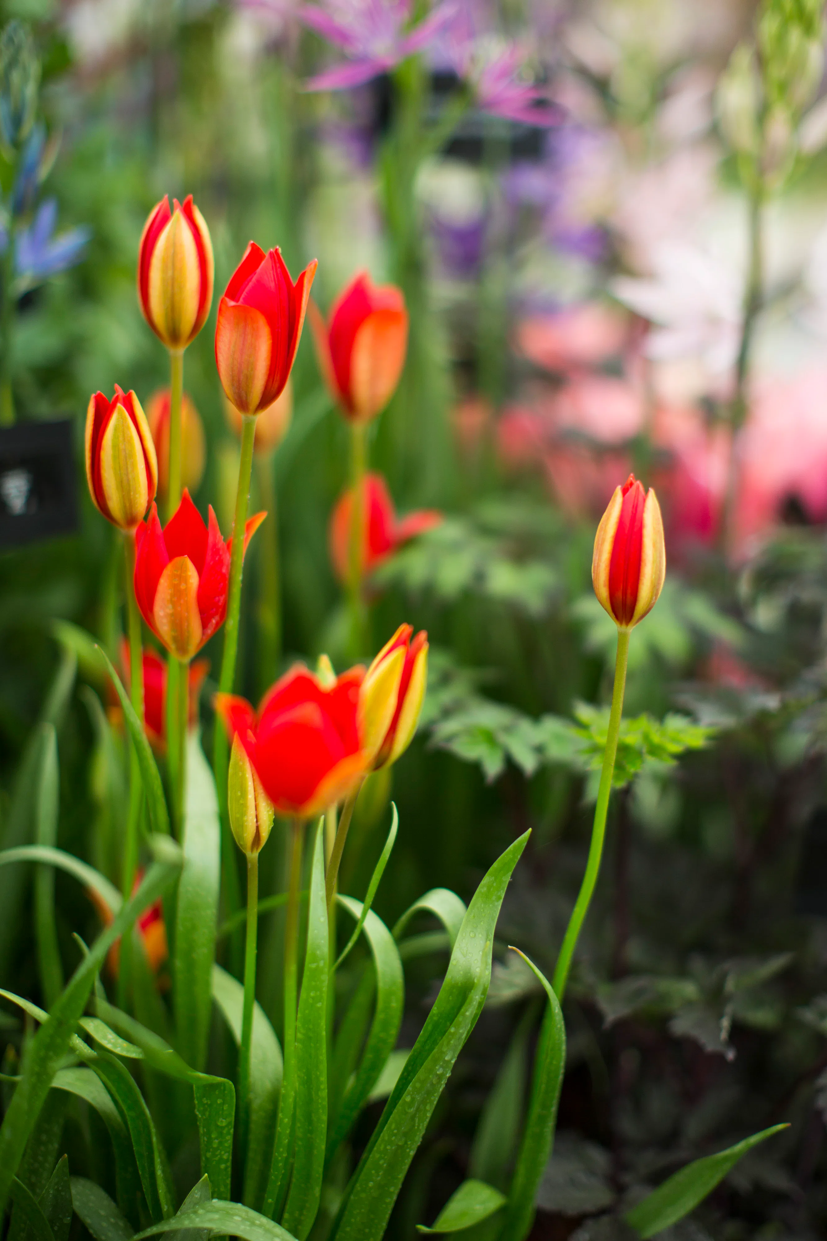 27 Floral Baby Names That Are Due To Make A Comeback