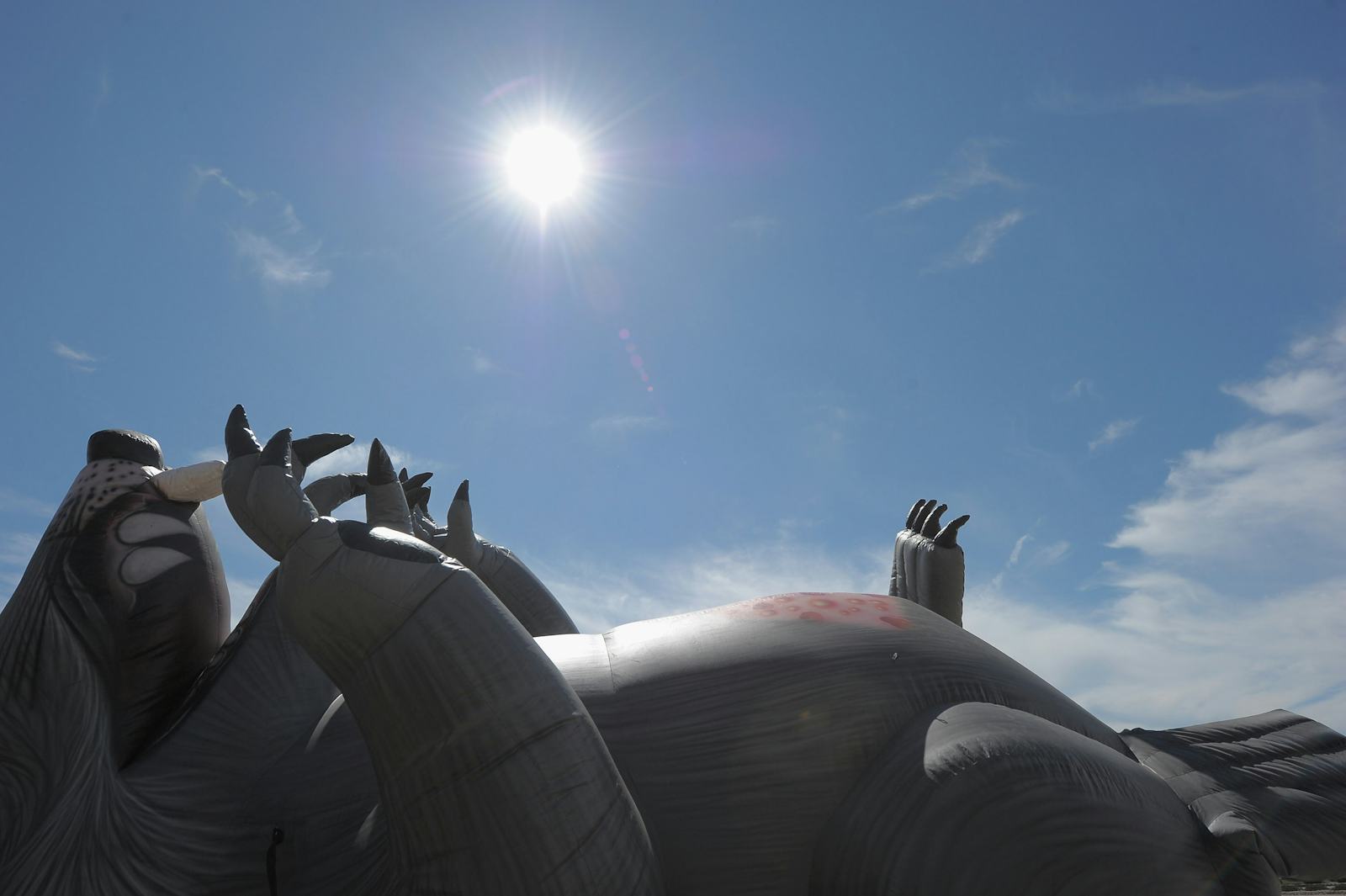 What Is Shower Rat? This Video Of A Rodent Bathing Like A Human Is Both ...