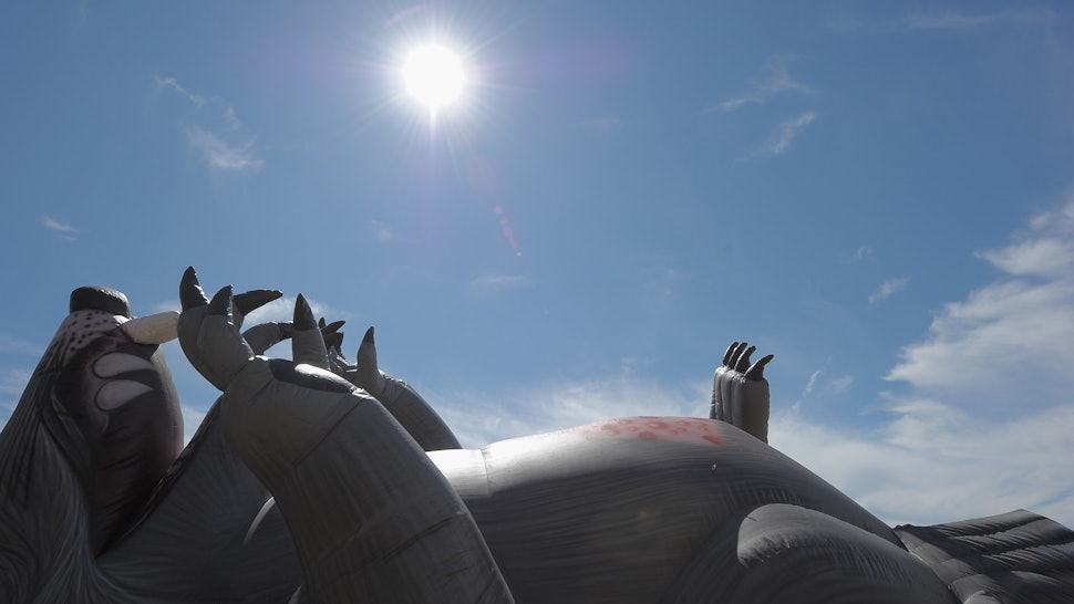 What Is Shower Rat? This Video Of A Rodent Bathing Like A Human Is Both ...