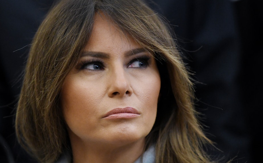 Nude Young Sister - Melania Trump's Life Before Marrying Donald Was Mysterious