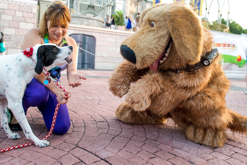 are dogs allowed in disneyland california