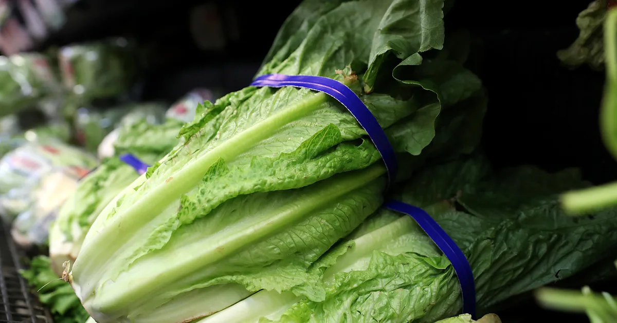 The E. Coli Outbreak Tied To Romaine Lettuce Is Now In 22 States & Here ...