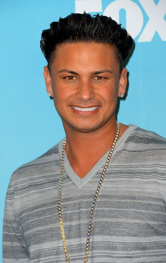 Who Is Pauly D Dating? The 'Jersey Shore' Star Met Someone On Another ...