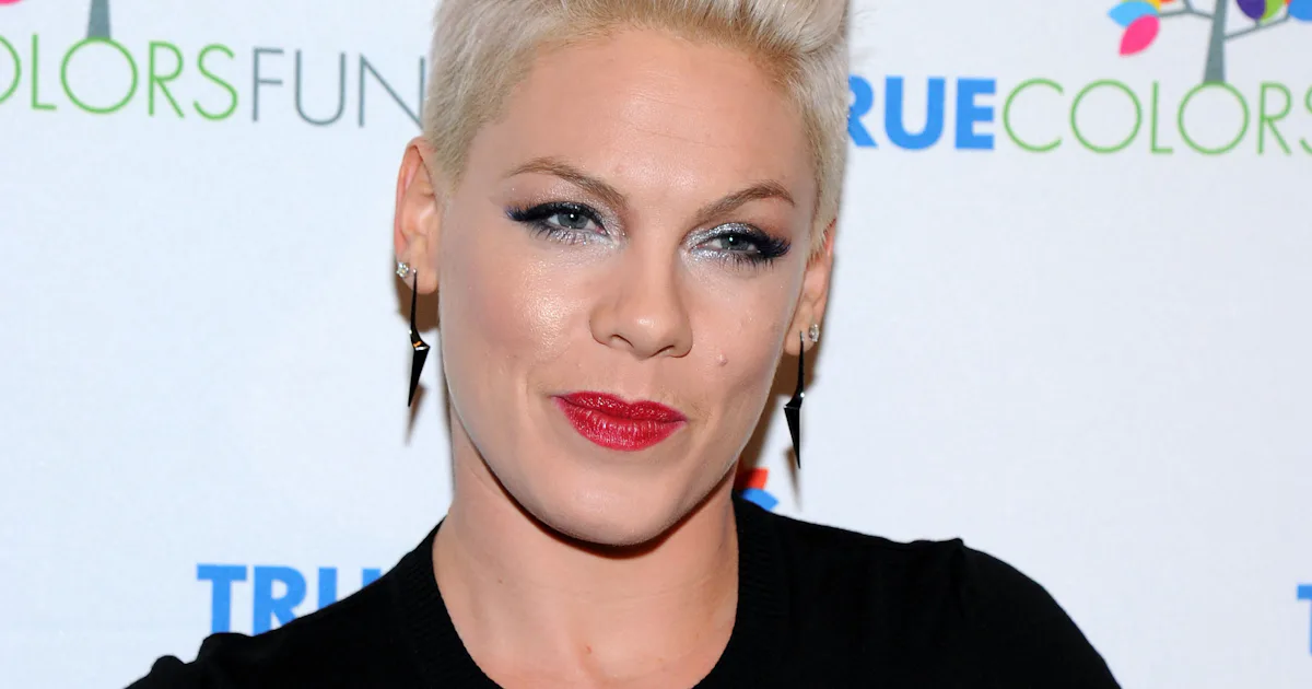 Pink Shut Down A Twitter Troll In The Best Way & I'm Living For It
