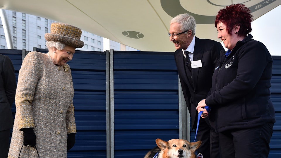 Why Does Queen Elizabeth Ii Like Corgis They Ve Been In The Family For Nearly 80 Years,Chocolate Brown Color