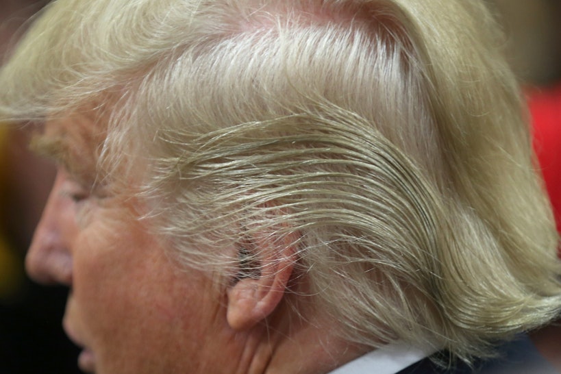 When can we get back to Donald Trump's hair? 78114f9e-dfe5-43c0-bc96-74da0f2e8a45-getty-507807024