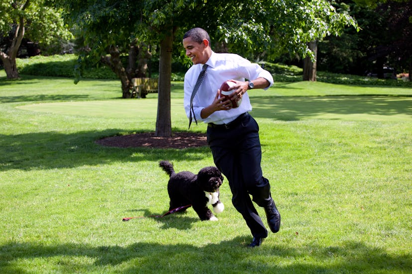 Barack Obama playing with his dog